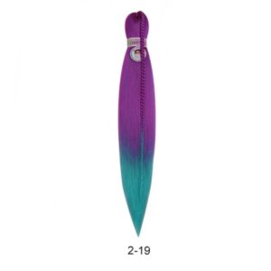 VIP Kanekalon 2-19, (Hot plum/D Mint), 70 см.